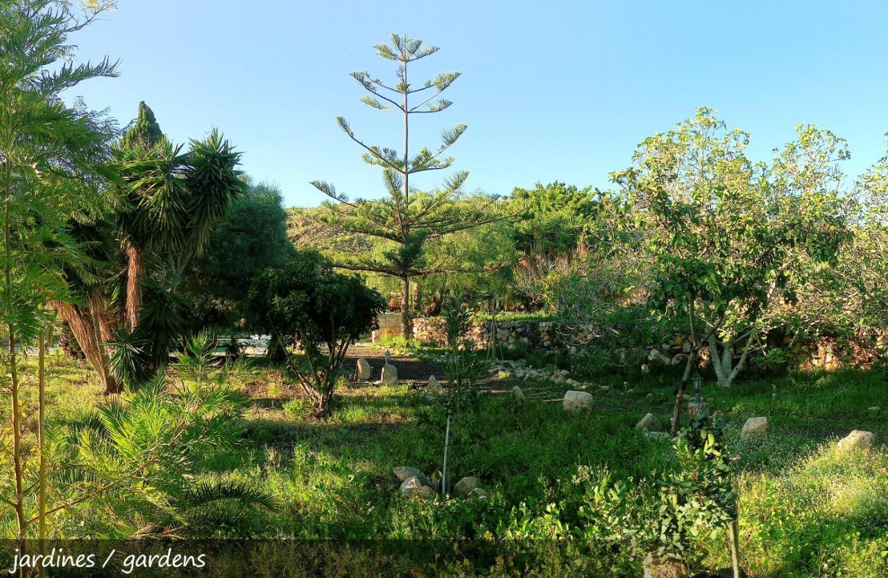 Live Finca San Miguel Сан Мигель Экстерьер фото